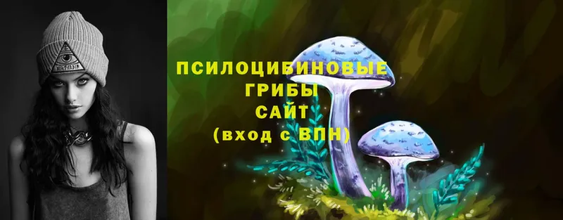 Псилоцибиновые грибы MAGIC MUSHROOMS  Лыткарино 